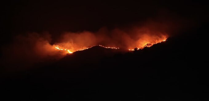 ಚಾರ್ಮಾಡಿ ಘಾಟಿಯ ಅಣ್ಣಪ್ಪ ಸ್ವಾಮಿ ದೇಗುಲದ ಸಮೀಪ ಅರಣ್ಯದಲ್ಲಿ ಬೆಂಕಿ