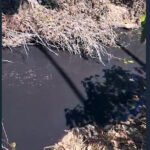 ಅರೆನೂರು ಸಮೀಪದ ಆನೆಹಳ್ಳಕ್ಕೆ ಕಾಫಿಪಲ್ಪರ್ ನೀರು