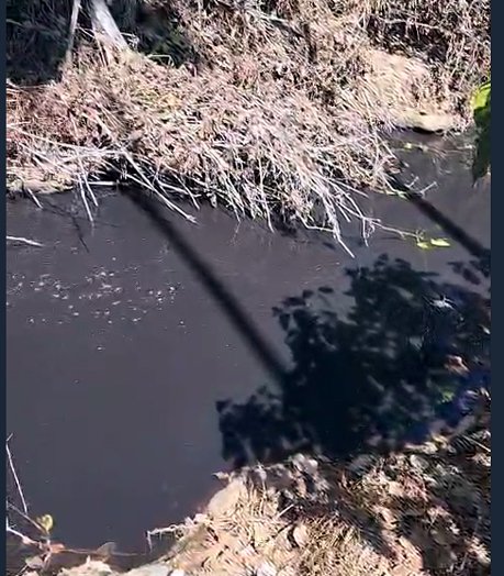 ಅರೆನೂರು ಸಮೀಪದ ಆನೆಹಳ್ಳಕ್ಕೆ ಕಾಫಿಪಲ್ಪರ್ ನೀರು